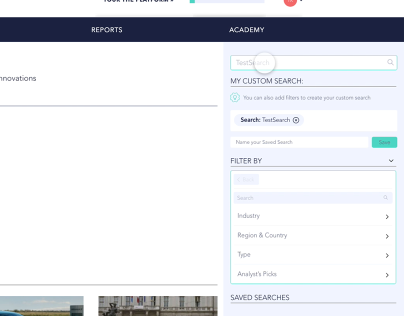 Search feature - Premium service — original project artwork