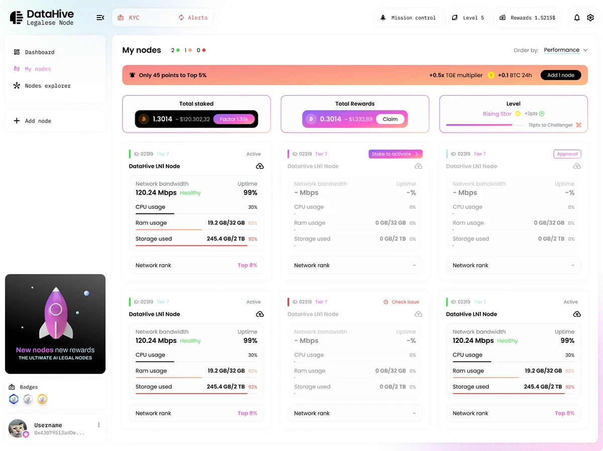 Original DataHive node management interface